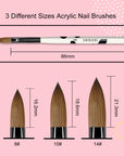 Free 3pcs Acrylic Nail Brush Set Size 8/10/14