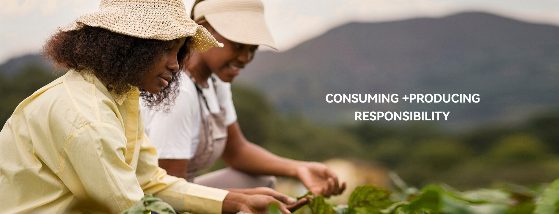 SAVILAND promoting responsible sourcing, sustainable production and ethical partnerships with local farming communities