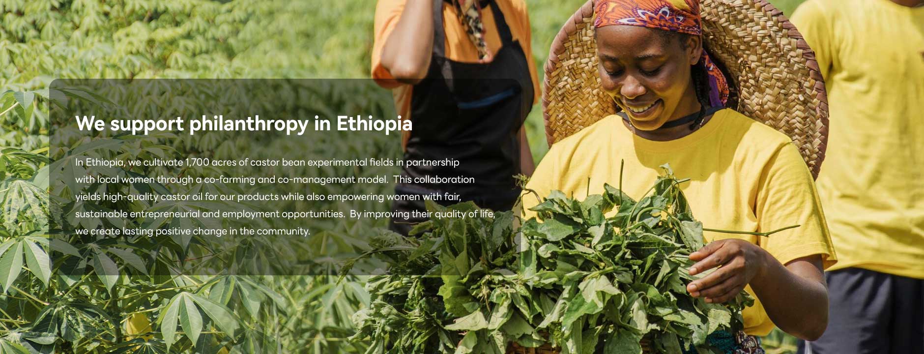 SAVILAND supporting women farmers in Ethiopia through sustainable castor oil farming, ethical sourcing and community development