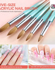 5 PCS Acrylic Nail Brush Set - Size 4/8/10/12/16