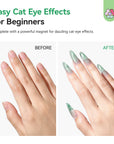 4-Color HEMA-Free Cat Eye Poly Gel Extension Kit