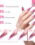 4-Color Purple HEMA-Free Poly Gel Nail Set for Creative Nail Art