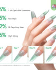 4-Color HEMA-Free Cat Eye Poly Gel Extension Kit